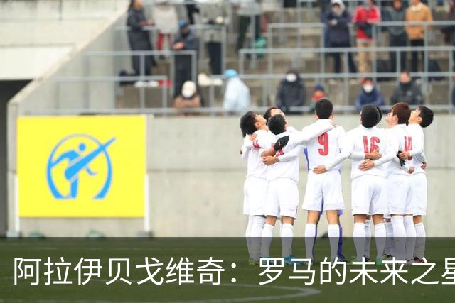 阿拉伊贝戈维奇：罗马的未来之星，意甲转会市场的焦点