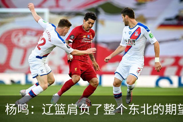 杨鸣：辽篮肩负了整个东北的期望 感谢球迷